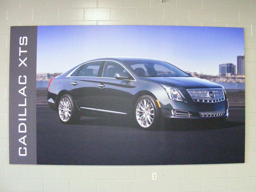 Cadillac - Wall Graphic